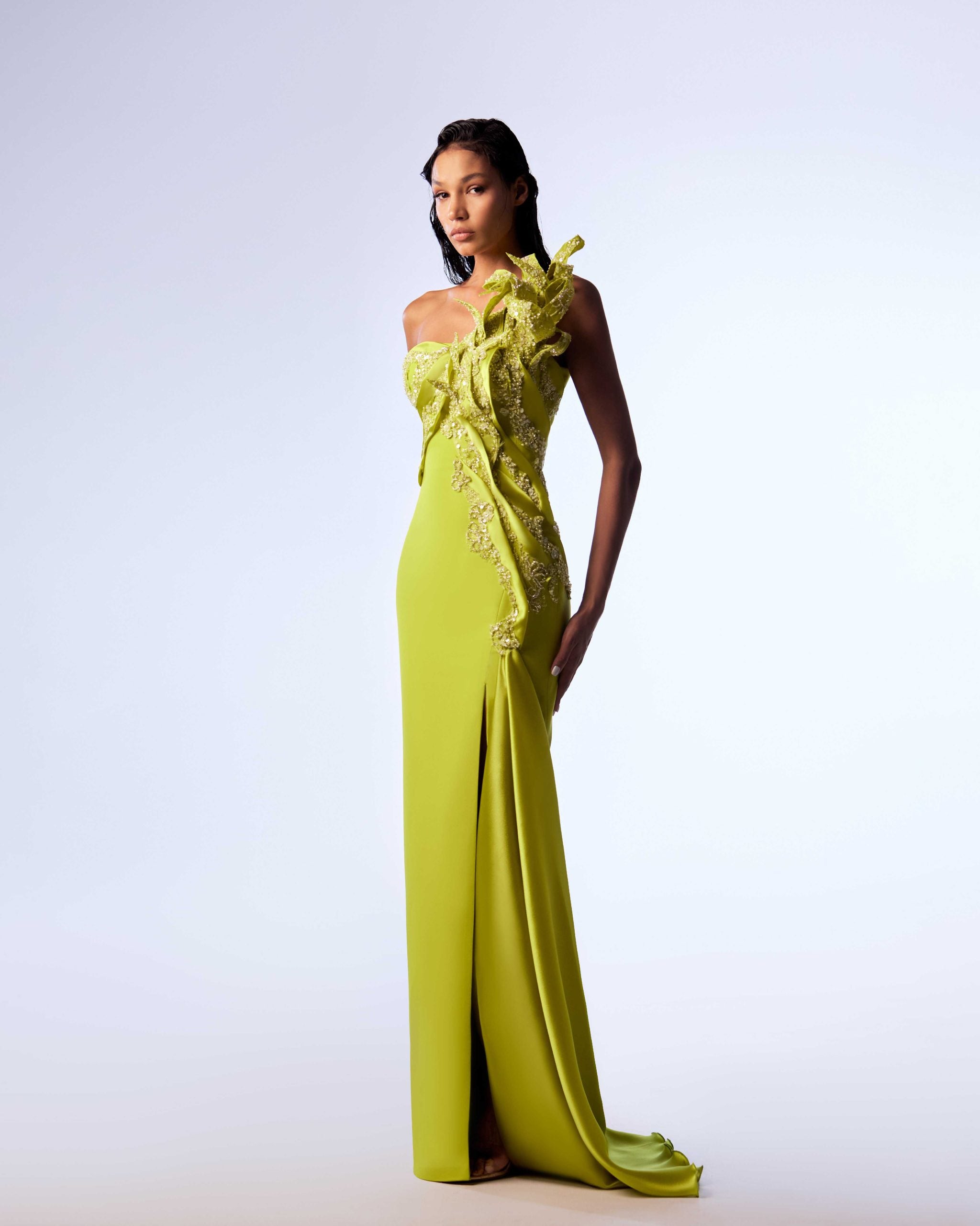 Gaby charbachy
Intricate Lace & Organza Mermaid Gown