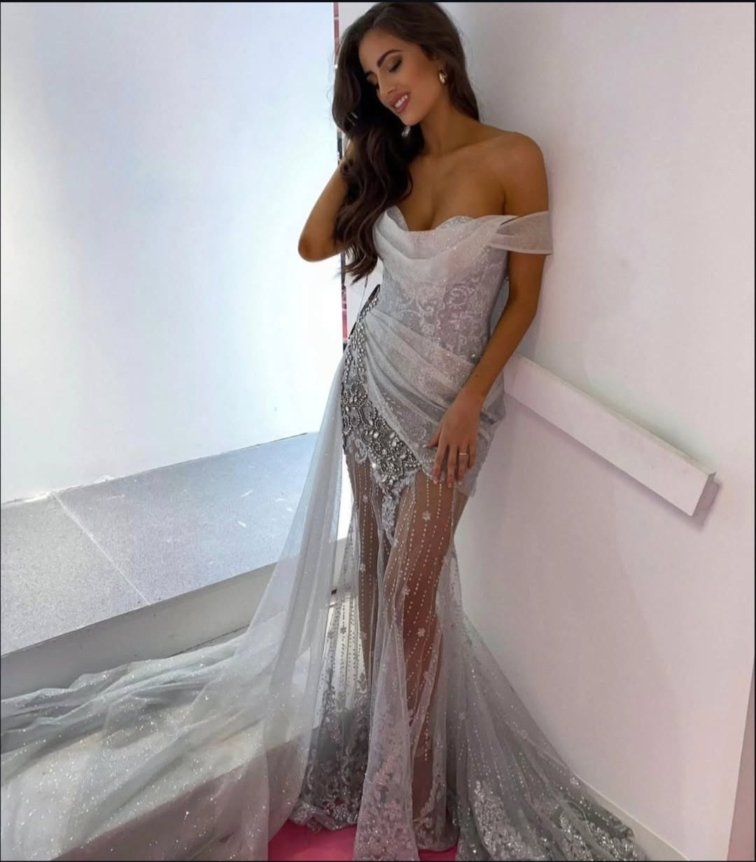 Portrait & Scarlett silver Gown