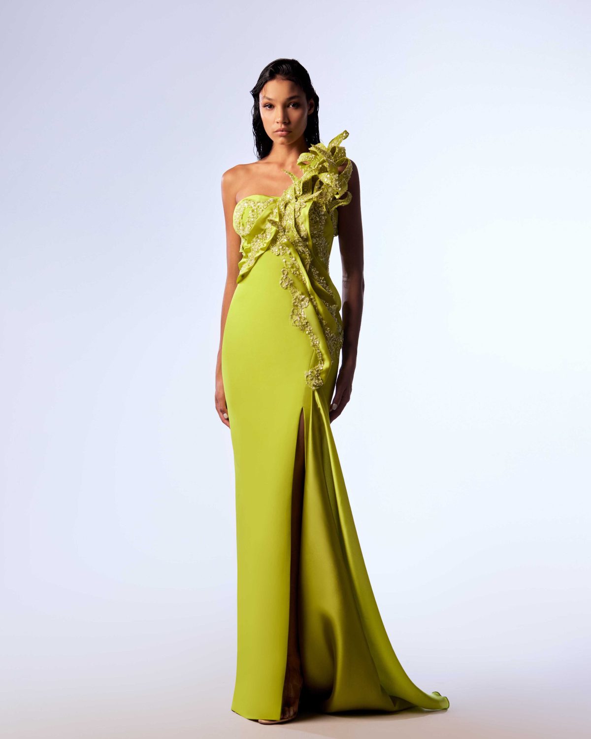 Gaby charbachy

Intricate Lace & Organza Mermaid Gown