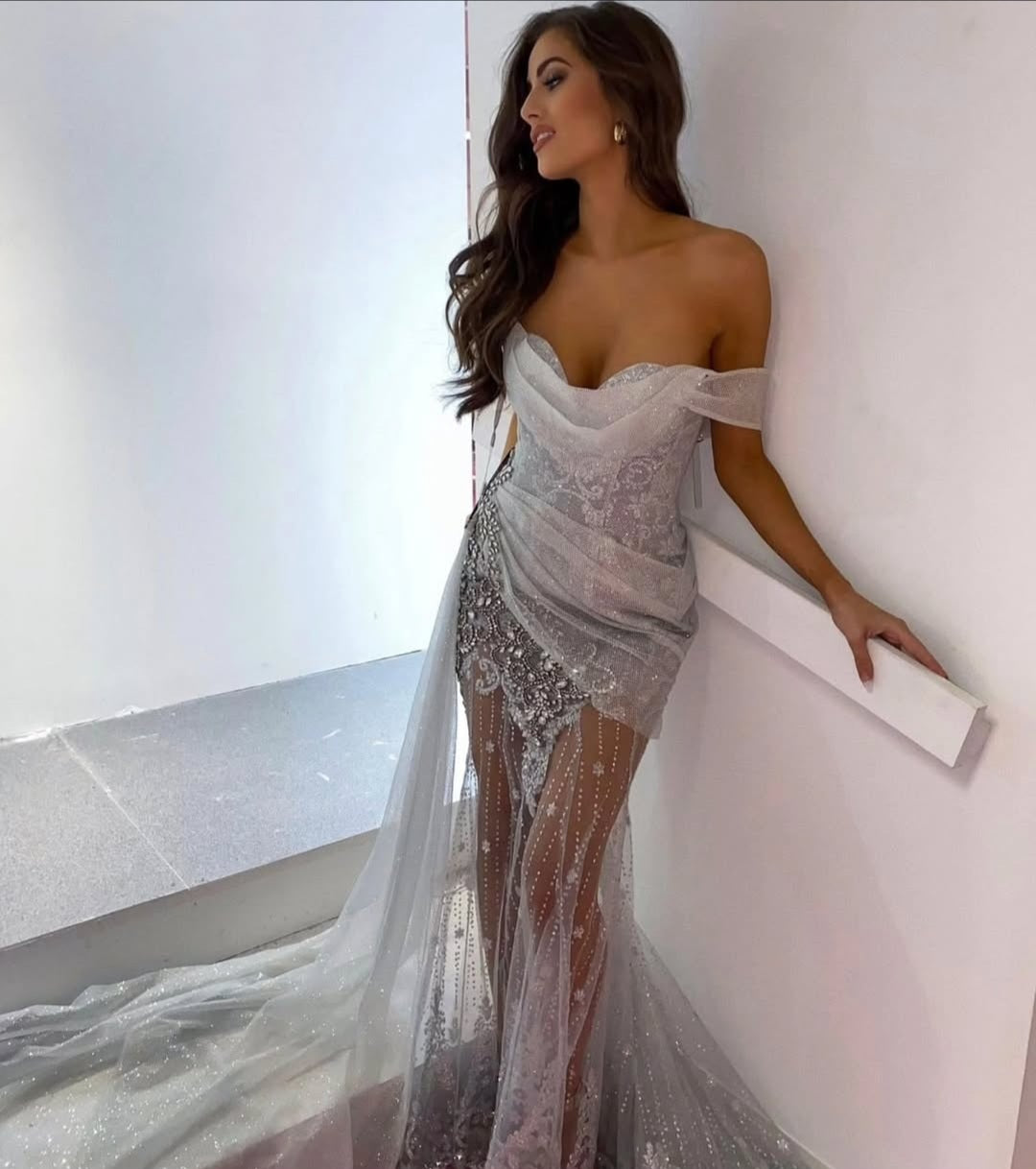 Portrait & Scarlett silver Gown