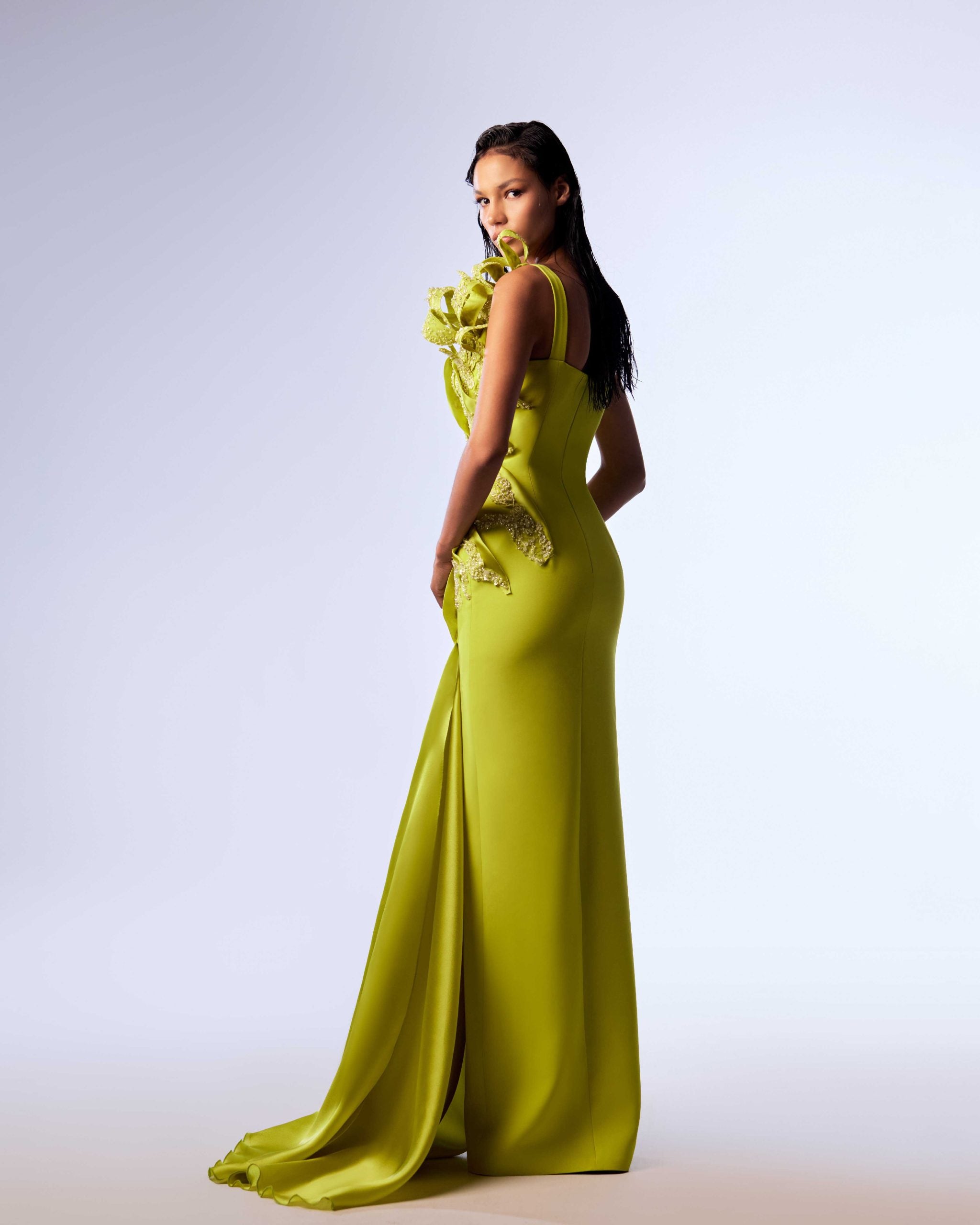 Gaby charbachy

Intricate Lace & Organza Mermaid Gown